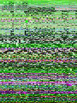 BigMfLuther online show from October 2025 02:06:02 PM