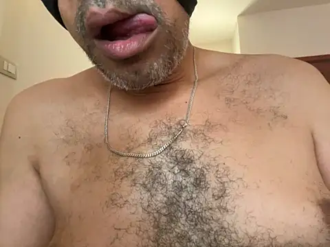 CaiBull online show from September 2025 08:17:01 AM