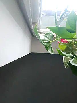 Czarnoksieznik online show from November 2025 12:07:01 PM