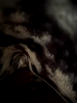 jackyw online show from November 2025 06:12:01 AM