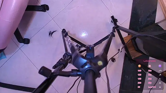 Terraelowen online show from November 2025 11:45:01 AM