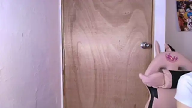 Terraelowen online show from February 2026 11:28:02 AM