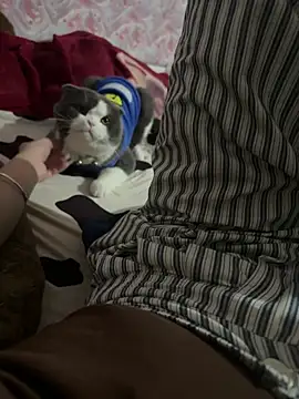 keelinnn19 online show from February 2026 02:02:01 PM