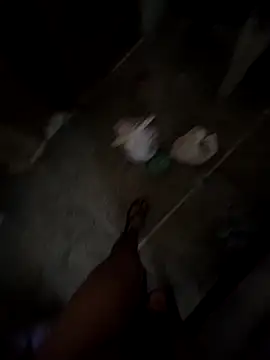 desir3dlund online show from April 2026 02:21:01 AM