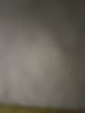 taraaek online show from March 2026 12:07:02 AM