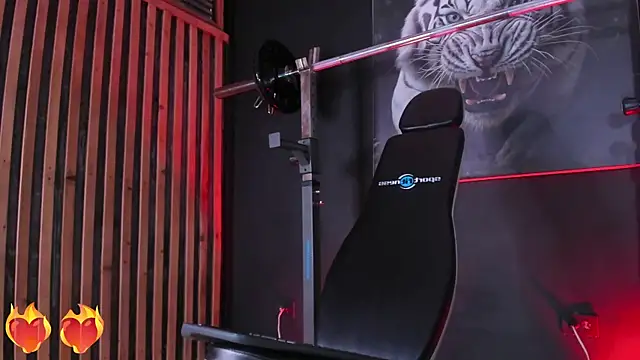 DimitriDeluxe online show from November 2025 08:10:01 PM