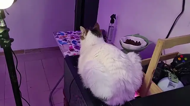 Lovers cave online show from December 2025 02:07:02 AM