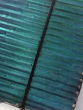 veronica and bryan online show from September 2025 03:49:01 AM