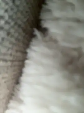 whitequeen xxx online show from November 2025 11:21:02 AM