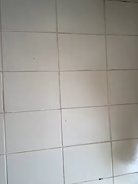 Novinhodotadomg online show from November 2025 01:45:01 PM