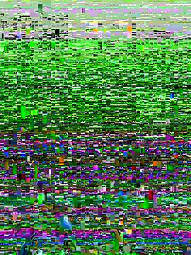 Novinhodotadomg online show from November 2025 07:43:01 PM