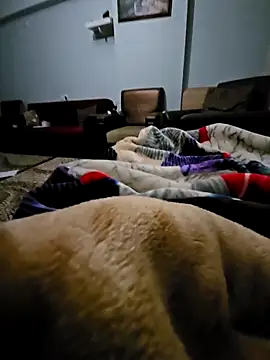 fena-sikerimmm online show from February 2026 02:45:02 AM