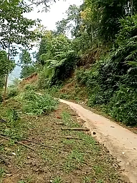 Dung-Thao19 online show from November 2025 02:55:02 AM