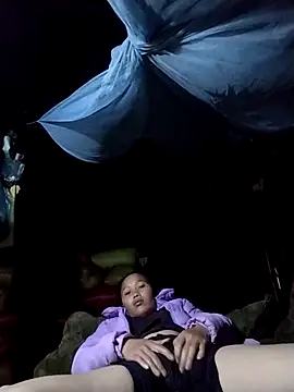 Snapshot of PhamPm70 chatting on November 2025 12:17:01 PM PhamPm70 online show from November 2025 12:17:01 PM