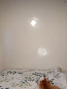 Nedambale online show from February 2026 10:53:02 AM