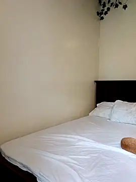 Nedambale online show from March 2026 11:38:01 AM