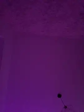 Lexi Storm online show from April 2026 04:54:01 AM