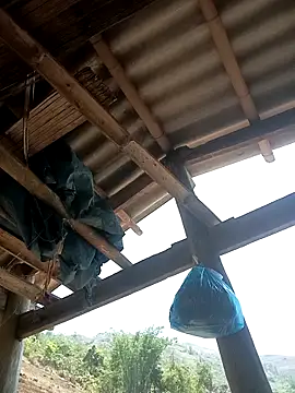 CoMay003 online show from April 2026 04:50:02 AM