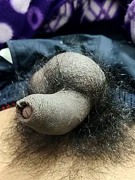 Bio-teacher online show from January 2026 05:51:02 PM