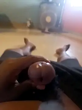 newboygoa online show from April 2026 10:59:01 AM