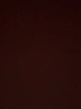 Snapshot of BrusqueEuphoria chatting on October 2025 04:55:01 AM BrusqueEuphoria online show from October 2025 04:55:01 AM