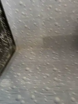 NoddingScorpion online show from November 2025 08:58:01 AM