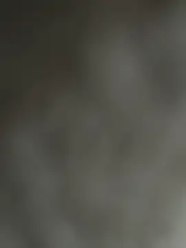 NoddingScorpion online show from December 2025 08:34:01 AM