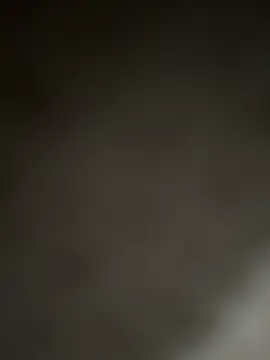 NoddingScorpion online show from April 2026 08:29:01 AM