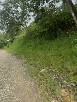 Snapshot of Alahia_skyy chatting on October 2025 01:29:01 PM Alahia skyy online show from October 2025 01:29:01 PM