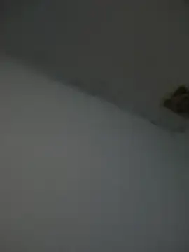 Kriffert online show from November 2025 11:51:01 PM