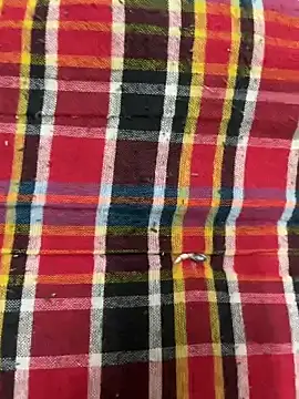 Snapshot of hamstar09 chatting on October 2025 05:48:02 PM hamstar09 online show from October 2025 05:48:02 PM