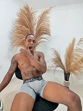 liambolt online show from February 2026 01:22:02 PM