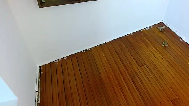 shelbygp online show from March 2026 12:01:01 PM