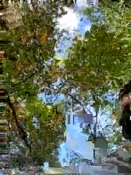 Mexxwell69 online show from September 2025 03:11:02 PM