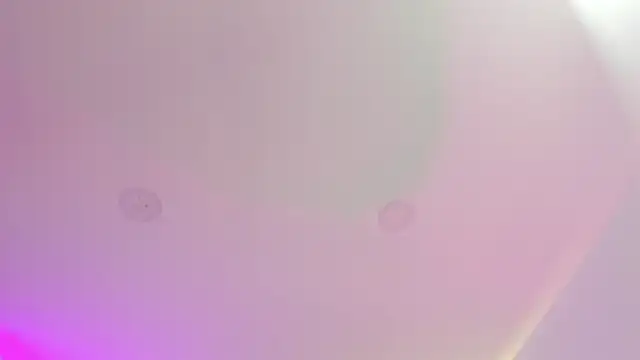 Cherrydollxx online show from September 2025 11:58:01 AM