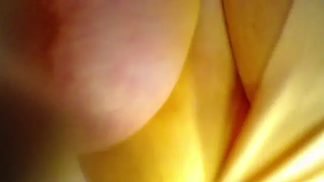 AntonellaRicher online show from September 2025 01:42:02 AM