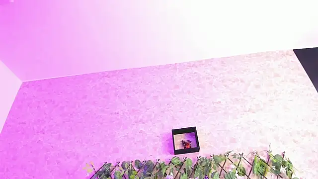 Snapshot of ImEmily444 chatting on October 2025 07:50:01 AM ImEmily444 online show from October 2025 07:50:01 AM