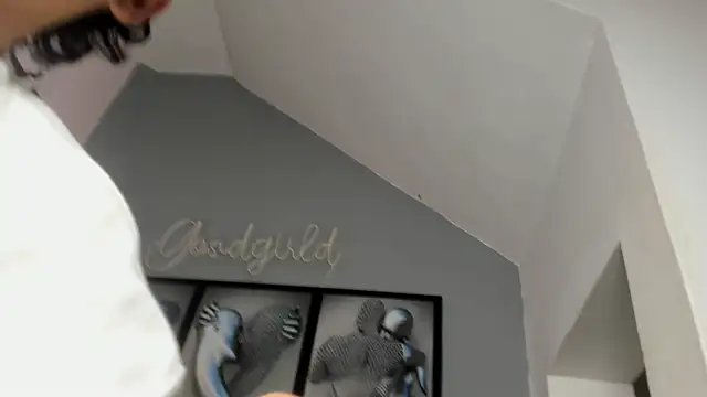 camillo virgil online show from October 2025 10:49:01 AM