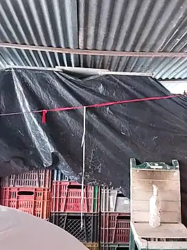 hoteder online show from February 2026 02:47:02 PM