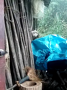 Ruaiuoi online show from March 2026 12:41:02 AM