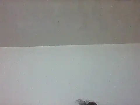 pretty349 online show from April 2026 01:14:02 PM