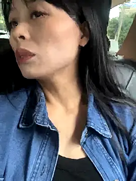 petoys online show from September 2025 09:14:02 AM