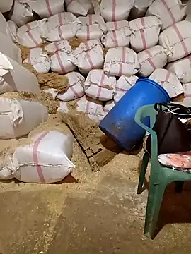 ezgi2545 online show from April 2026 11:09:01 AM