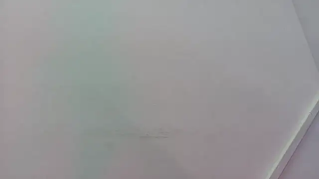 Lizbeth Rouse online show from November 2025 11:31:01 AM