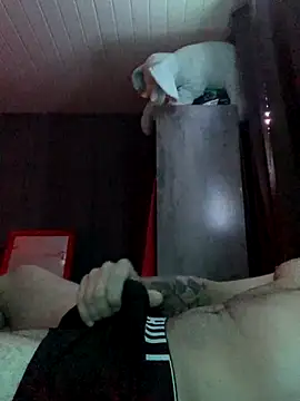 o-theus online show from October 2025 05:28:02 AM