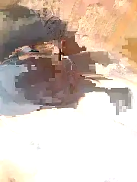 Forla-40 online show from October 2025 12:41:02 PM