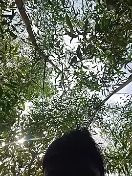 96Rohon online show from March 2026 06:18:01 AM