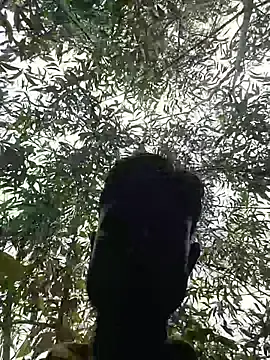 96Rohon online show from April 2026 07:17:02 AM