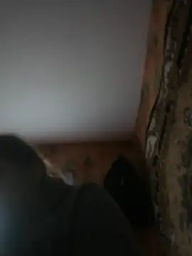 Romashka33011 online show from March 2026 08:15:01 AM