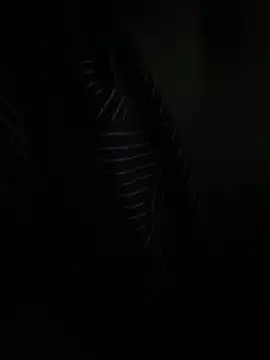 P E R V I T I N online show from March 2026 11:05:01 PM